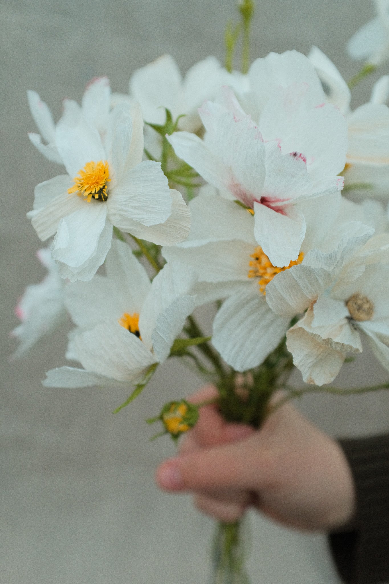 Workshop Handcrafted Cosmea (woensdagavond 21 oktober 19:00 - 21:30)
