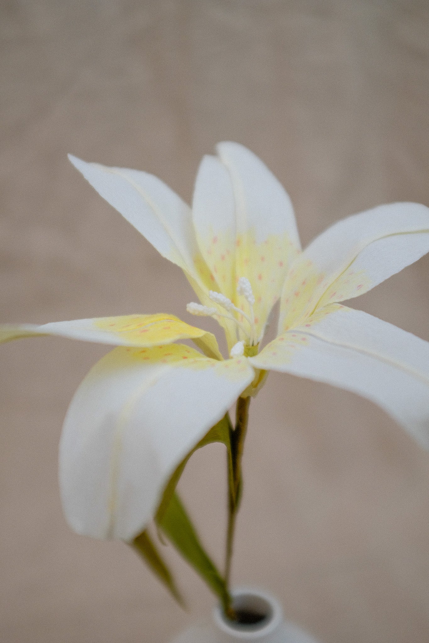 Workshop Lovely Lilly / Lelie (zaterdag 21 maart 15:00 - 18:00)