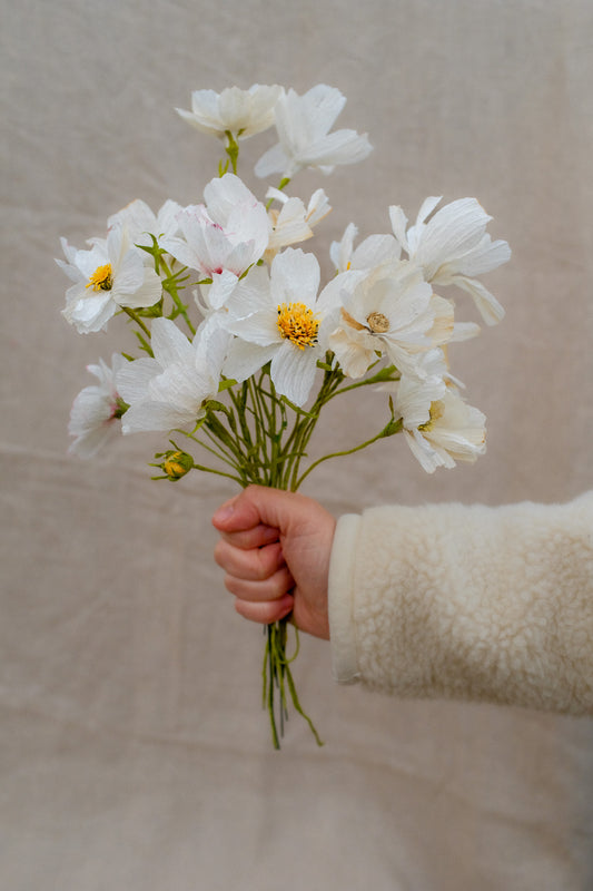 Workshop Handcrafted Cosmos (vrijdag 27 maart 19:00 - 22:00)