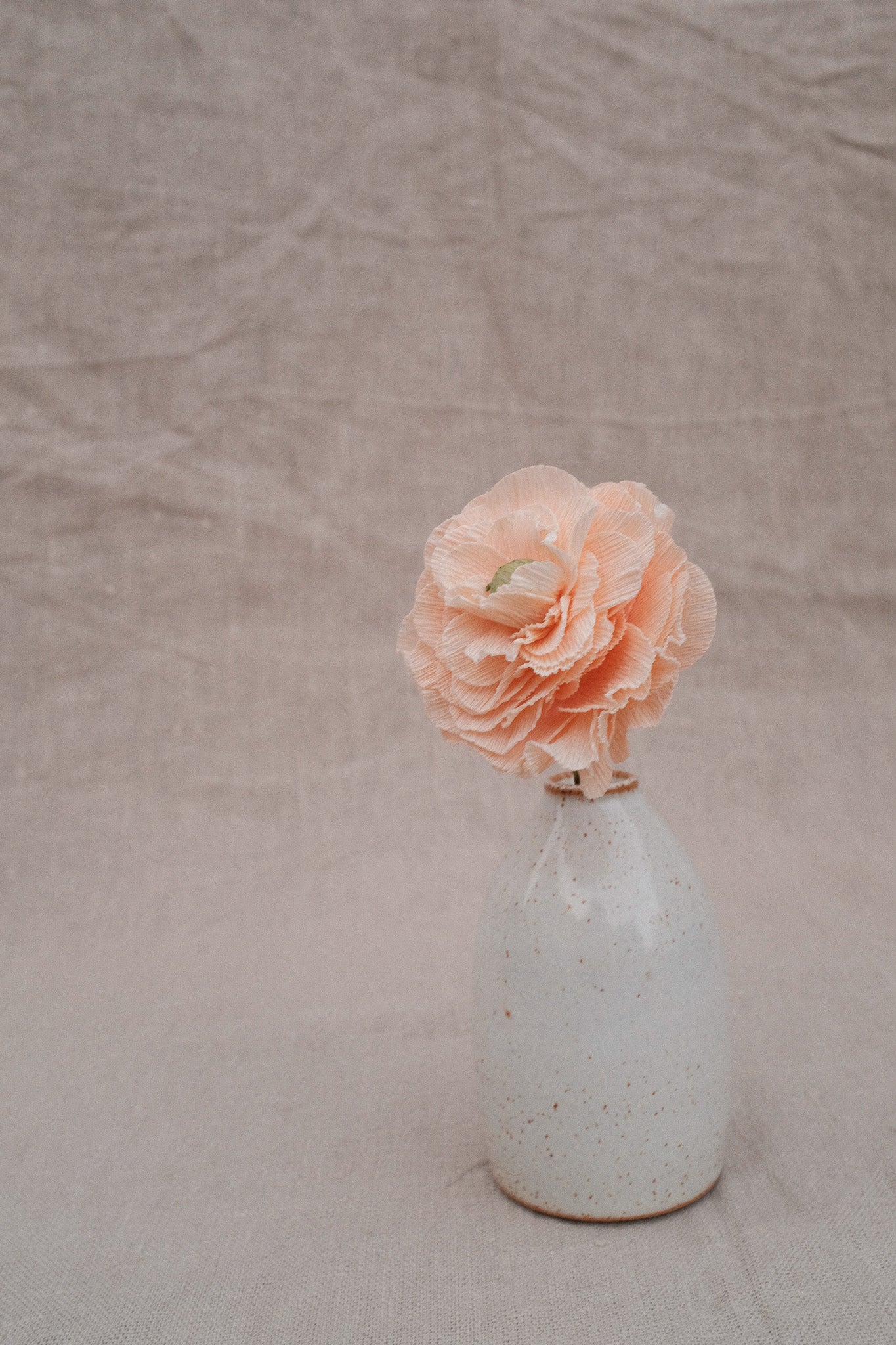 Workshop Ranunculus / Ranonkel (zaterdag 2 mei 09:30 - 12:30)